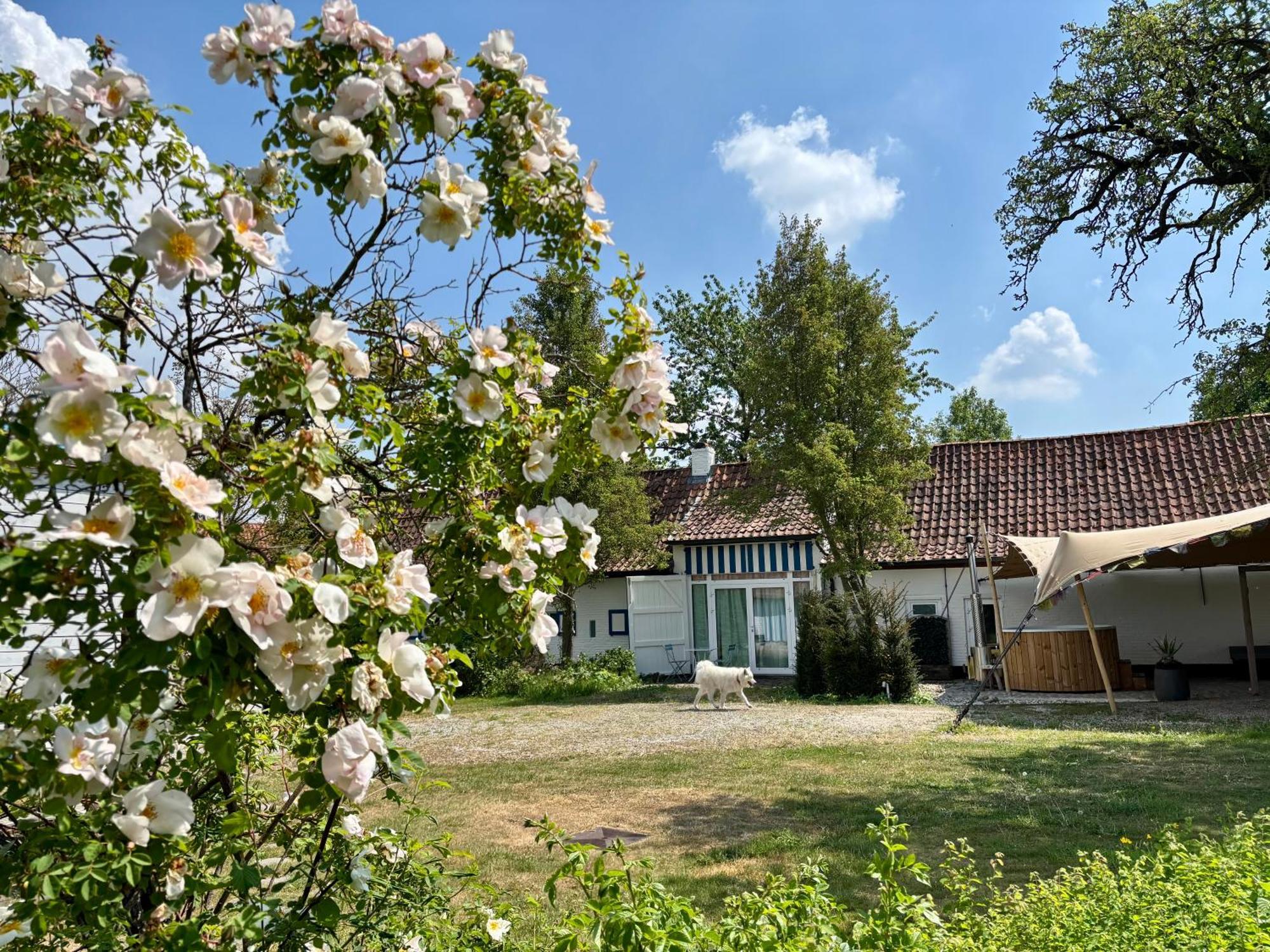 Hamiora Wellness B&B Дейнзе Екстер'єр фото
